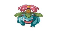 Pokemon Venusaur Simple Background