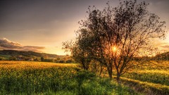 Poland HDR Photography