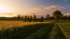 Poland HDR Photography