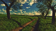 Poland HDR Photography