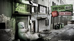 Polar Bears streets World Wildlife Fund