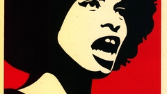 Politics artwork Shepard Fairey