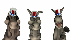 Politics Democracy artwork donkey