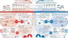 Politics infographics government