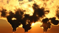 Pollution architecture