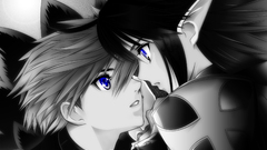 Polychromatic shining wind Boys!