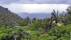 Ponce as viewed from