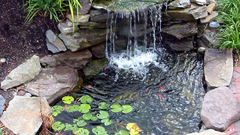 Pond can request here