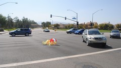 Ponies my little pony My Little Pony: Friendship is Magic 