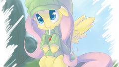 Ponies my little pony My Little Pony: Friendship is Magic 