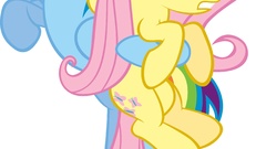 Ponies my little pony rainbow dash My Little Pony: Friendship 