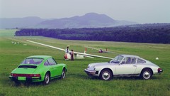 Porsche cars grass