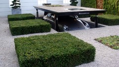 Porsche cars ride Boys!