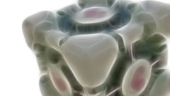 Portal Companion Cube