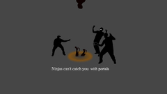 Portal ninjas cant catch