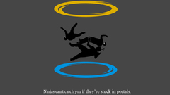 Portal ninjas cant catch