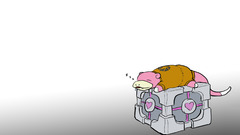 Portal slowpoke Companion Cube
