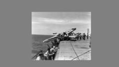 Portrait have not seen