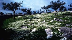 Portuguese landscape high nature