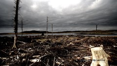 Post-apocalyptic end of human age