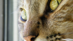 Post highest on Your