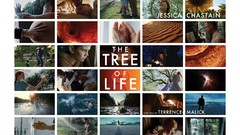 Posters The Tree Of Life
