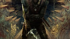 Posters the witcher 2 assassins of kings video games assassins 
