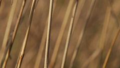 Posting in epic thread