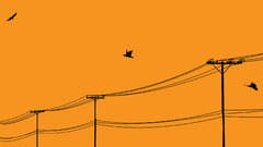Power lines vectors Threadless