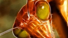 Praying Mantis Fractalius