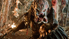 Predator