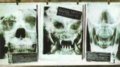 Predator X-ray alien