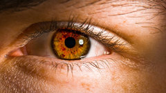 Preferably real ones high