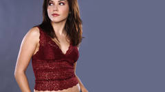 Pretty brunette sophia bush