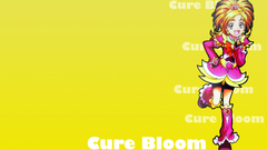 Pretty cure Anime