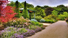 Pretty Garden fleet nature