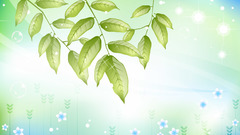 Pretty seconding This motion