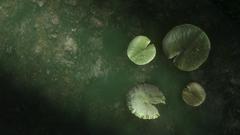 Pretty shitty but since