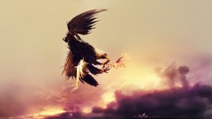 Prey Eagles Adam Spizak web design