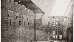 Price birch slave pen