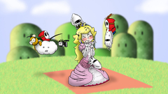 Princess peach innuendo