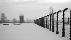 Prison World War II Auschwitz concentration camp