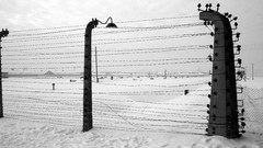 Prison World War II Auschwitz concentration camp