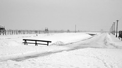 Prison World War II Auschwitz concentration camp