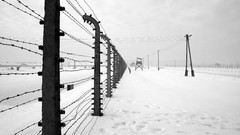 Prison World War II Auschwitz concentration camp