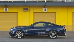 Profile shelby gt500