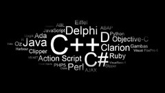 Programming ruby delphi php javascript clarion perl programming 