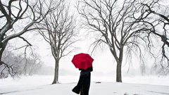 Prospect woman The blizzard watches blankets navidbaraty