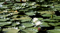 Proud itt post something