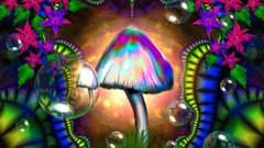 Psychedelic thread going lets have shroom